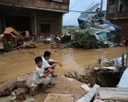 Hundreds of Venomous Snakes Escape Farms in Flood-Hit Southern China