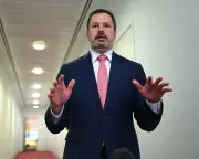Husic warns weakening copyright for AI goes against Labor ethos
