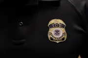 ICE Agent Fatally Shoots Mexican National During Traffic Stop in Houston