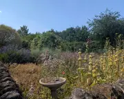 In John Clare's garden, a poet's legacy and a personal connection to nature