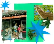 Inside New Orleans' alligator museum: 'If it's green, it sells'