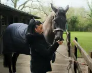 Katie Price: Nothing to Hide – TV tonight's candid confessions and bonfire drama