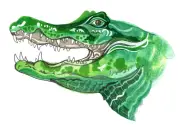 Kids' Quiz: Caiman Teeth and Cat Purrs – Fun Family Trivia