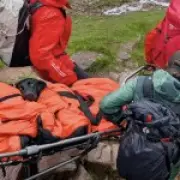 Labrador that ate cannabis on Ben Nevis hike saved by mountain rescue