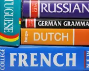 Learning multiple languages may slow brain ageing by up to 13 years, study finds
