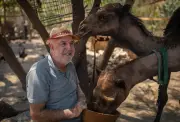 Lebanese man braved Israeli strikes to rescue animals during 2026 war