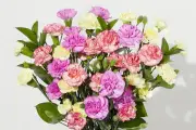Letterbox Flowers from Bunches: The Perfect Surprise Gift