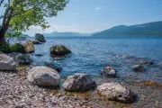 Loch Ness hydropower project threatens ancient woodland and salmon