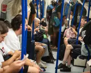 London tube temperatures exceed legal limits for cattle transport