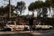 Madrid wildfire survivors return to devastated homes, struggle with shock