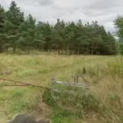 Man hospitalised after freak chainsaw accident in Durham woodland park