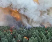 Massive wildfire near Paris forces evacuations, rail delays; Spain PM warns climate emergency kills