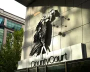 Melbourne man with connections allegedly raped woman in Sydney hotel