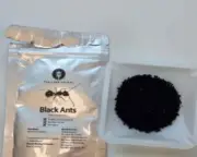 Michelin-starred chef in South Korea faces jail for ant dessert