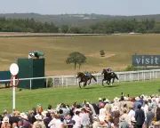 Moore ice-cool on Scandinavia to win Goodwood Cup after loose horse drama