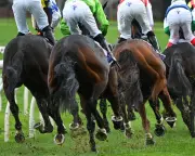 MPs demand answers from Gambling Commission over affordability checks