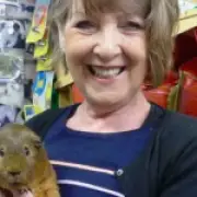 Murder investigation after crash kills pet shop owner, 70s