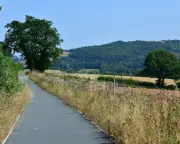 New safe scenic footpath opens alongside River Avon in Devon