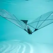 New ultra-lightweight robot can swim underwater then fly through air like a bird