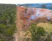 NSW land clearing surges 16% in 2024 despite government pledge to reduce rates