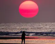 Ocean temperatures hit record high for June, EU scientists warn