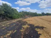 Orpington wildfire destroys half acre of cornfield as London faces increased fire risk