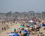 Over 400 arrested in California Fourth of July 'TikTok takeover' mayhem