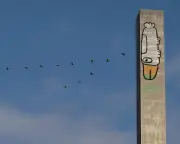 Pam the Bird graffiti sparks art vs vandalism debate in Melbourne