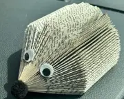 Parents Shocked by Children's Paper Hedgehogs Made from Erotic Novel Pages