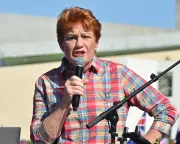 Pauline Hanson's domestic violence comments dangerous for women, says Nicole Yade