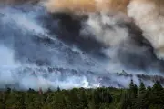 Pilot killed in Colorado wildfire helicopter crash identified as Nicholas Dale