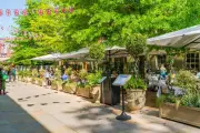 Plated Festival 2026: 30+ West London Restaurants Offer Exclusive Menus