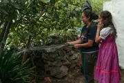 Rainwater Harvesting Helps Mexico City's Low-Income Homes Grow Food