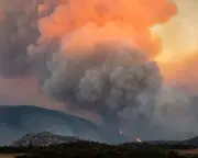 Record wildfires in Europe show failure to adapt carries mounting cost, scientists warn