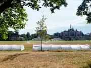 Resident 'furious' at Dulwich College using sprinklers during hosepipe ban