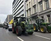 Revealed: How Europe's top farming lobby killed EU pesticide law
