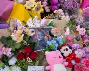 Review finds child protection failures in Kumanjayi Little Baby case