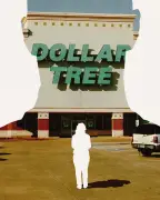 Rise of 'gooner' assaults at Dollar Tree: women targeted in stores