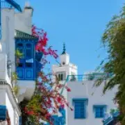 Santorini of Africa: Tunisia's trendy cafes and £100 five-star hotels