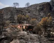 Seven Britons among 12 foreign nationals killed in Spain's deadly wildfires