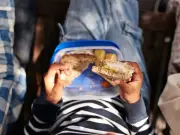 South London kids 'at risk of going hungry' as food vouchers axed