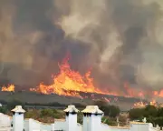 Spain's deadly wildfires: heat, wind, and rural depopulation create perfect storm