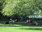 St James's Park enforces new rules as pelican chicks take first swim