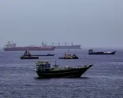 Stranded ships in Strait of Hormuz pose 'super-spreader' invasive species threat