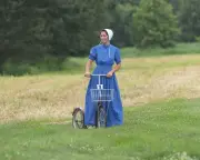 Suddenly Amish Review: Dubious Reality Show Fails to Ring True