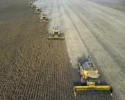 ‘Super’ El Niño Could Cause Global Food Price Shock Lasting Into 2028