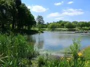 Swanley Park: South East London's £1.50 splash pool, model railway, and boating lake