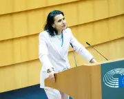 Swedish MEP files police complaint over Danish colleague's 'go home' remark