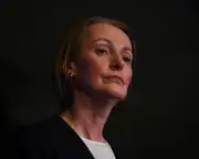 Telstra CEO apologises for national outage caused by software fault