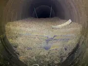 Thames Water removes millions of invasive mussels from London pipes annually